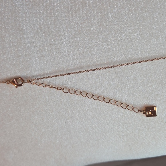 Park Lane Rose Gold Filigree Leaf Necklace - Picture 4 of 4